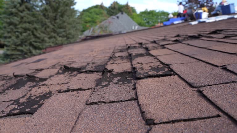 Best Commercial Roofing Services  in , CT